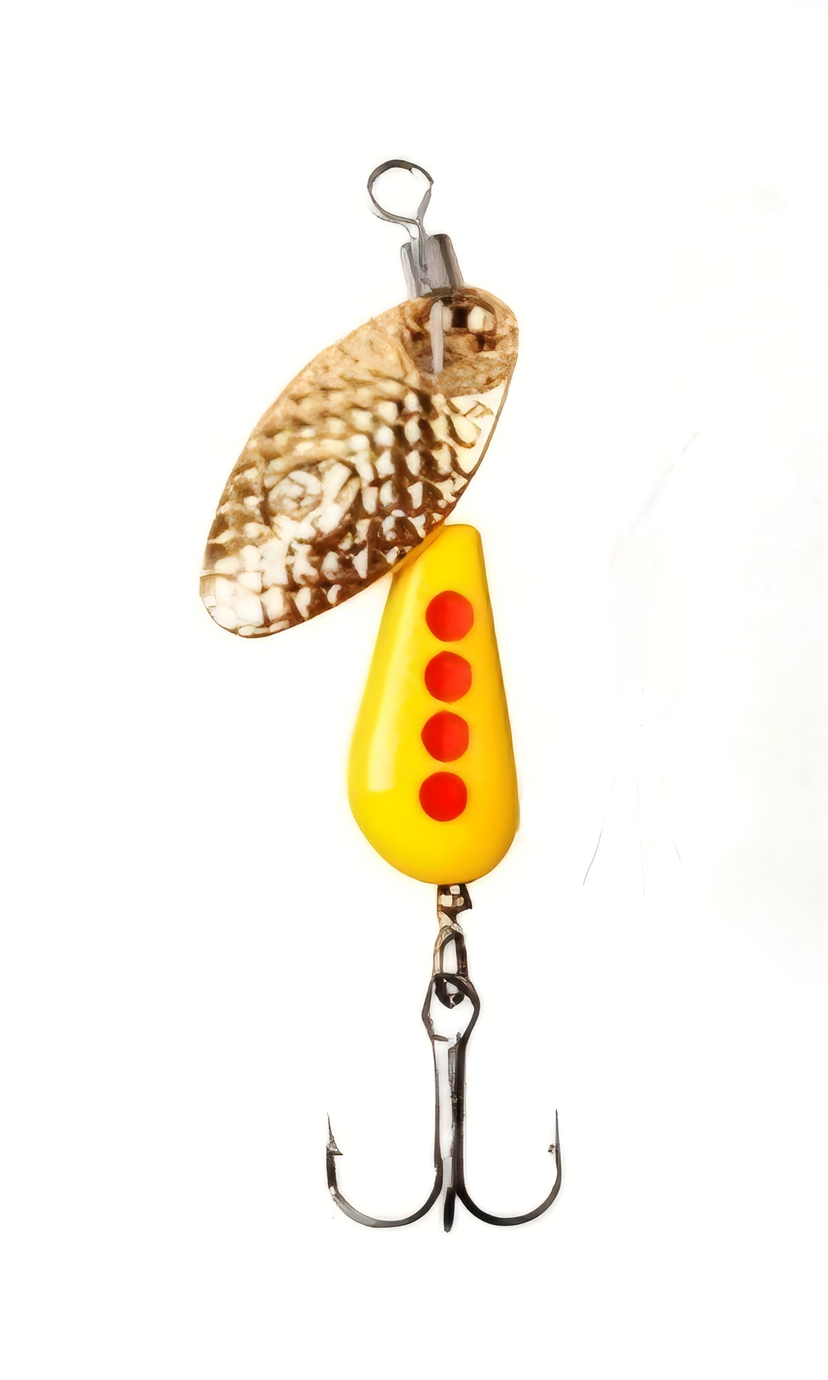 Advent Calendar for Anglers